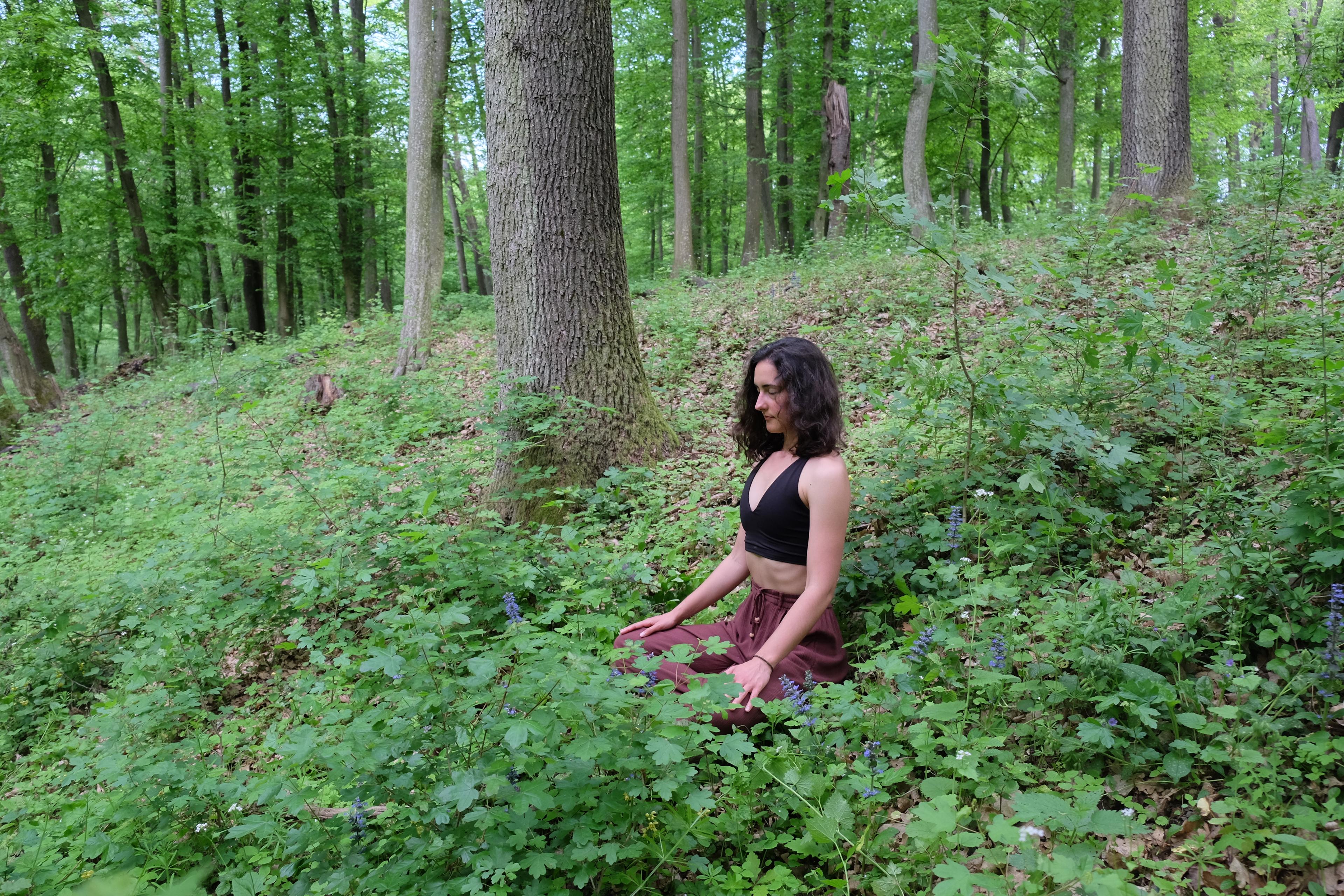 Meditation in nature